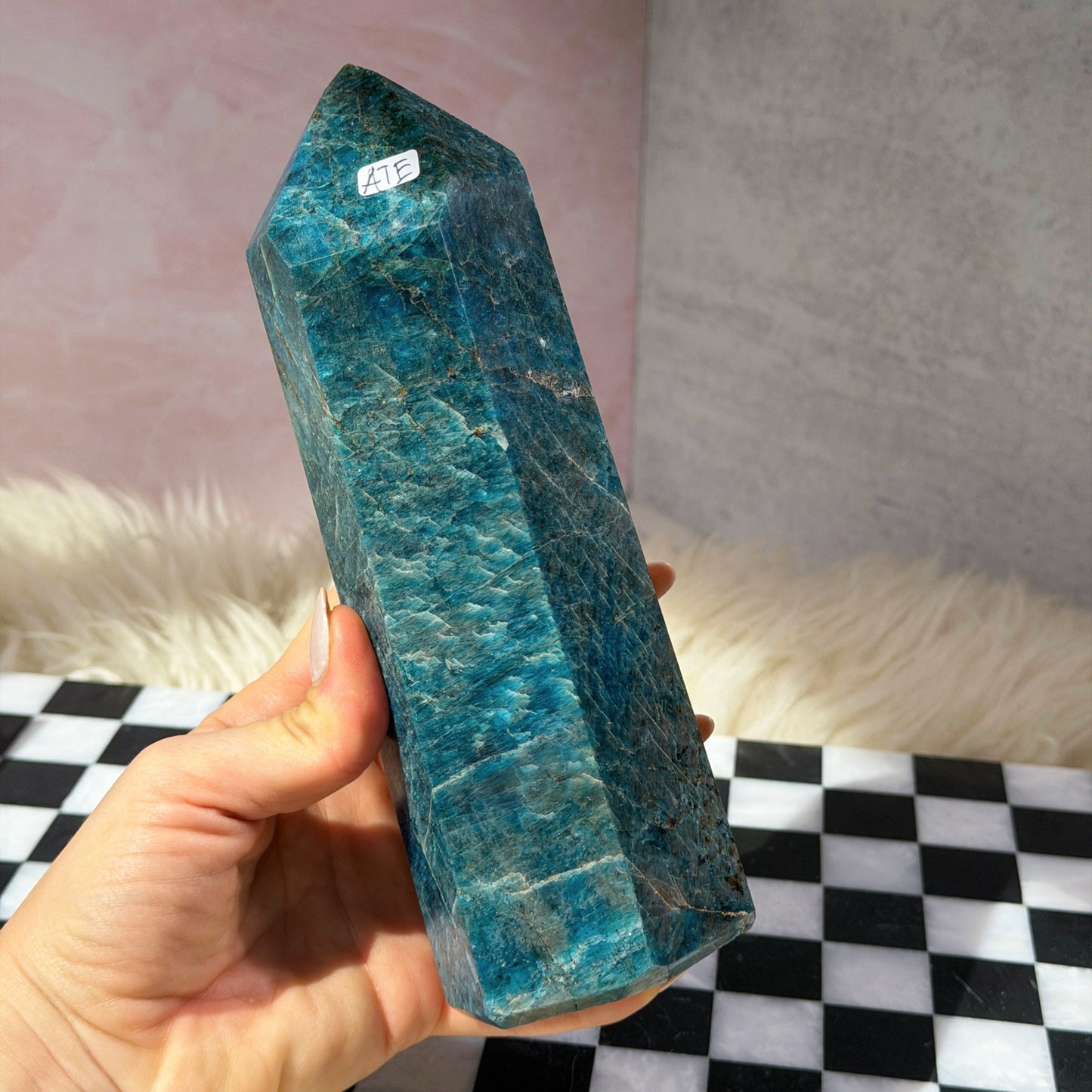 Blue Apatite Tower 3lb | Natural Madagascar Crystal Point
