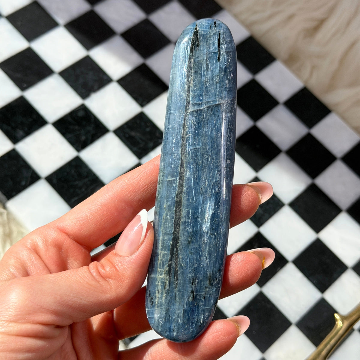 Gem Grade Kyanite Wand 5–6 Inch Natural Crystal