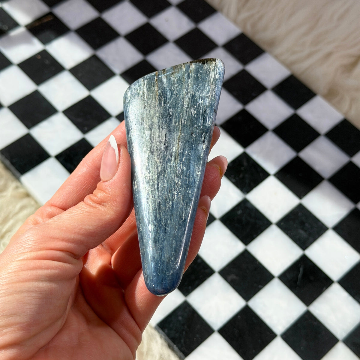 Gem Grade Kyanite Wand 5–6 Inch Natural Crystal