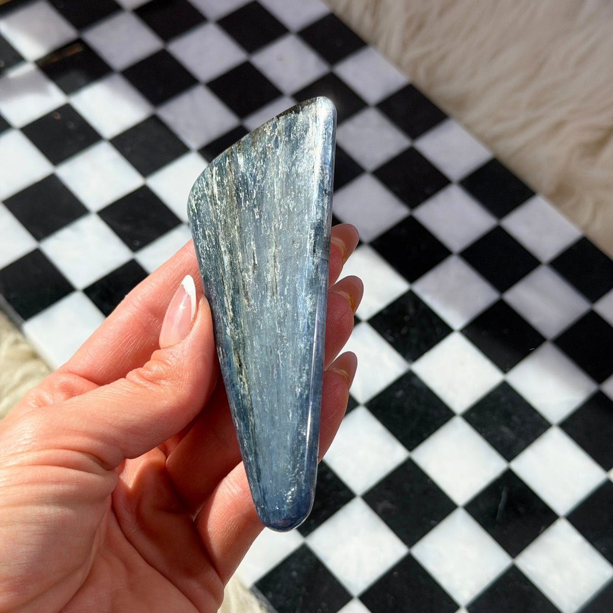 Gem Grade Kyanite Wand 5–6 Inch Natural Crystal