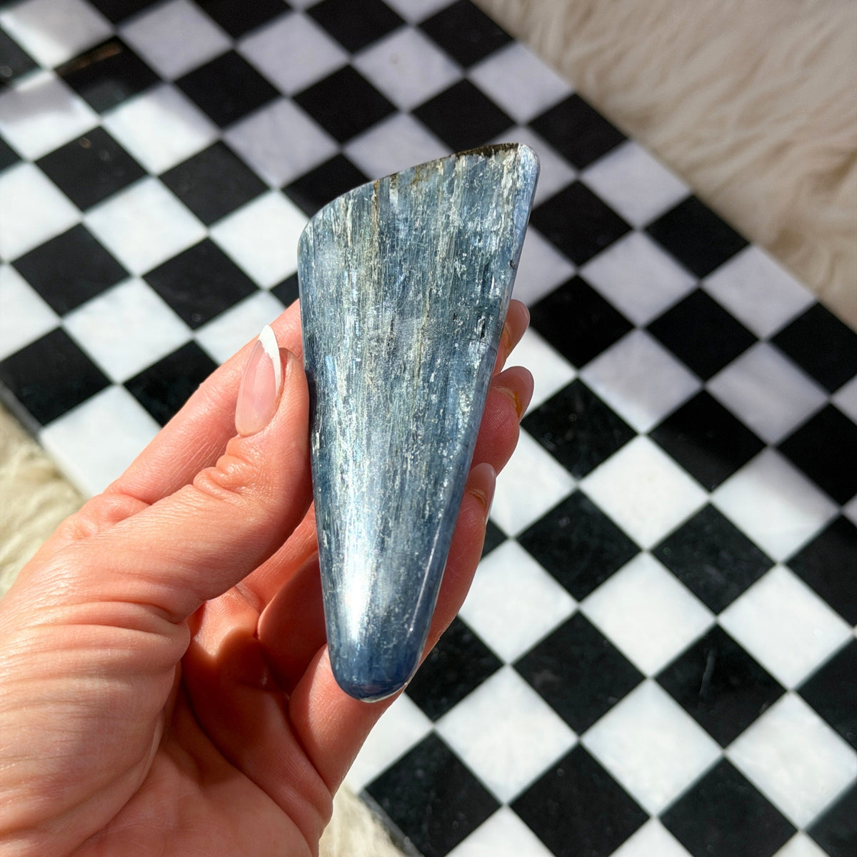 Gem Grade Kyanite Wand 5–6 Inch Natural Crystal